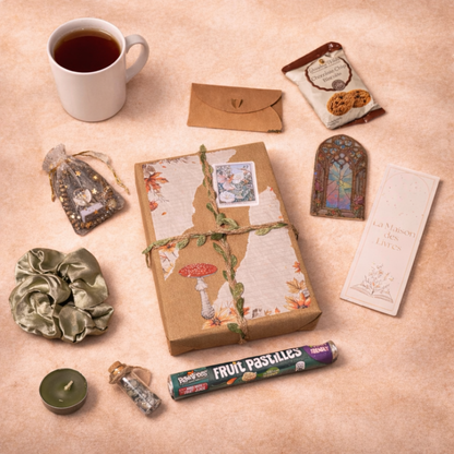 Enchanted Fairy Blind Date with a Book Gift Box